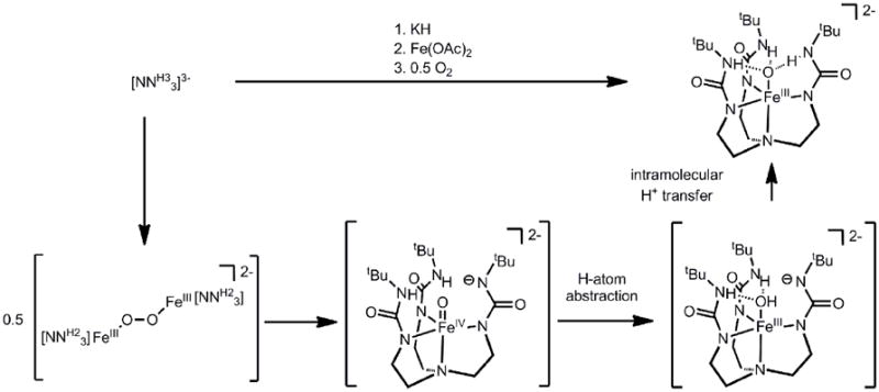 Scheme 15