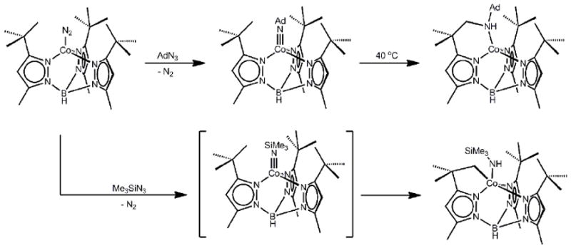 Scheme 2