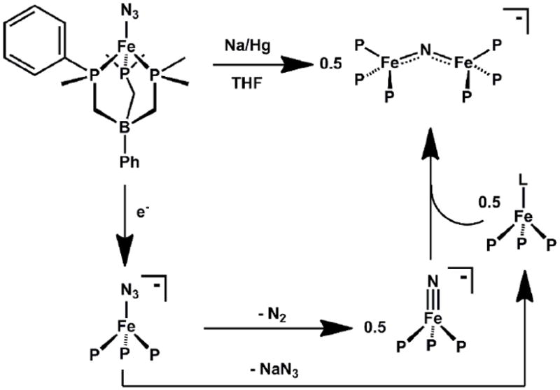 Scheme 7