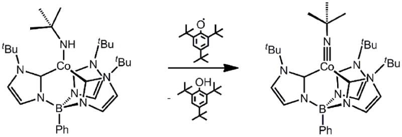 Scheme 4