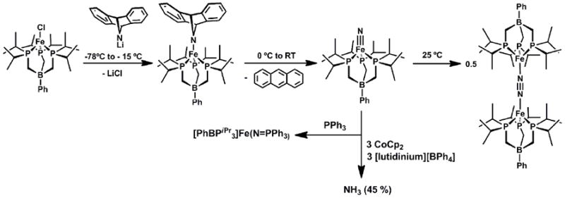 Scheme 8