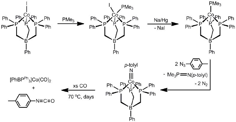 Scheme 1