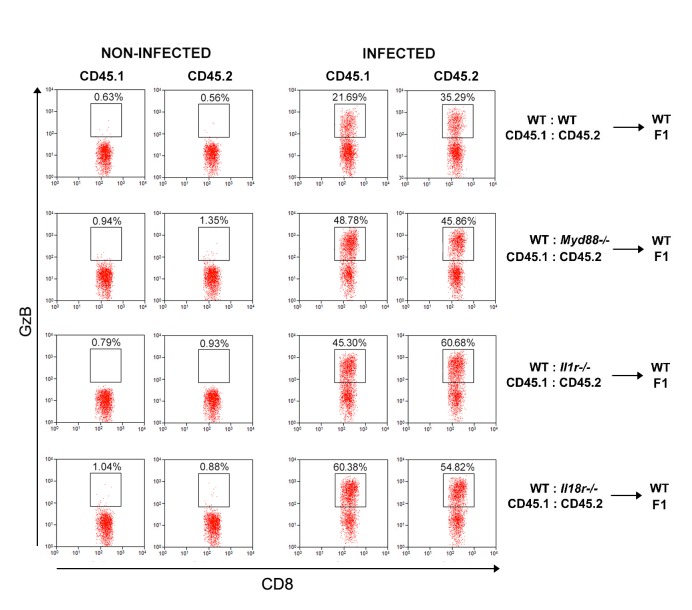 Figure 6—figure supplement 4.