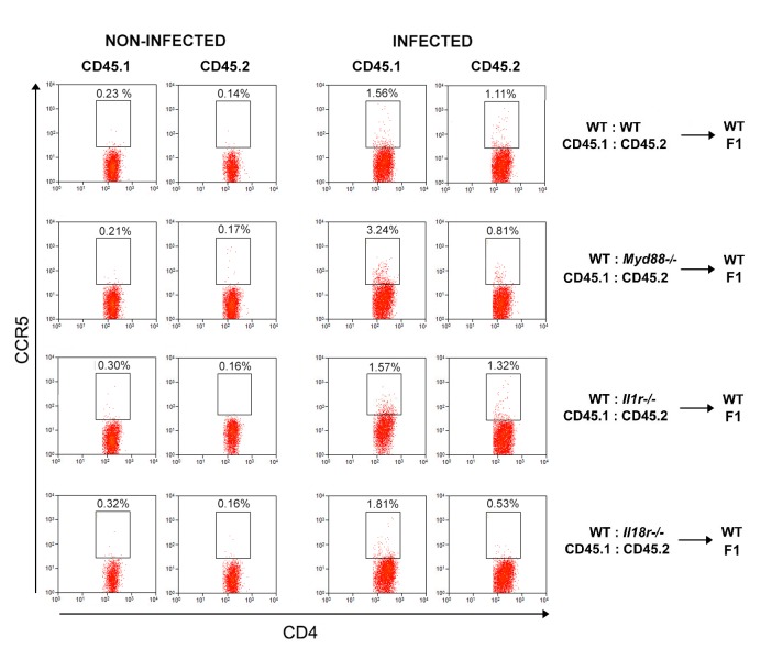 Figure 6—figure supplement 2.