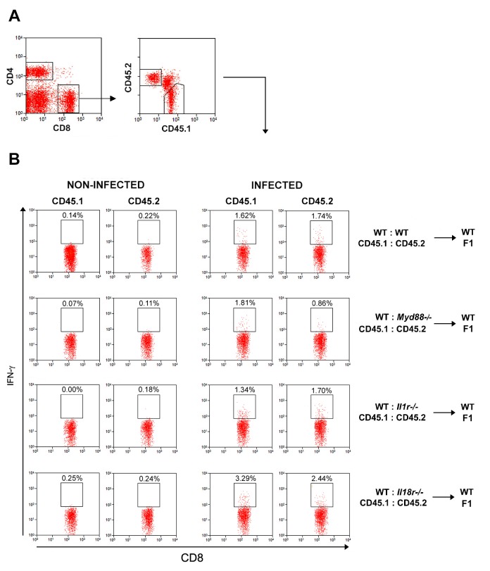 Figure 6—figure supplement 3.