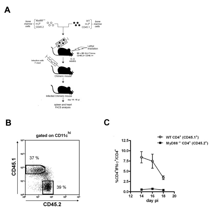 Figure 1—figure supplement 1.