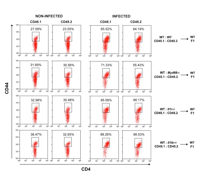 Figure 6—figure supplement 5.