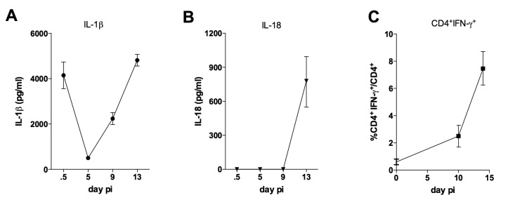 Figure 4—figure supplement 1.