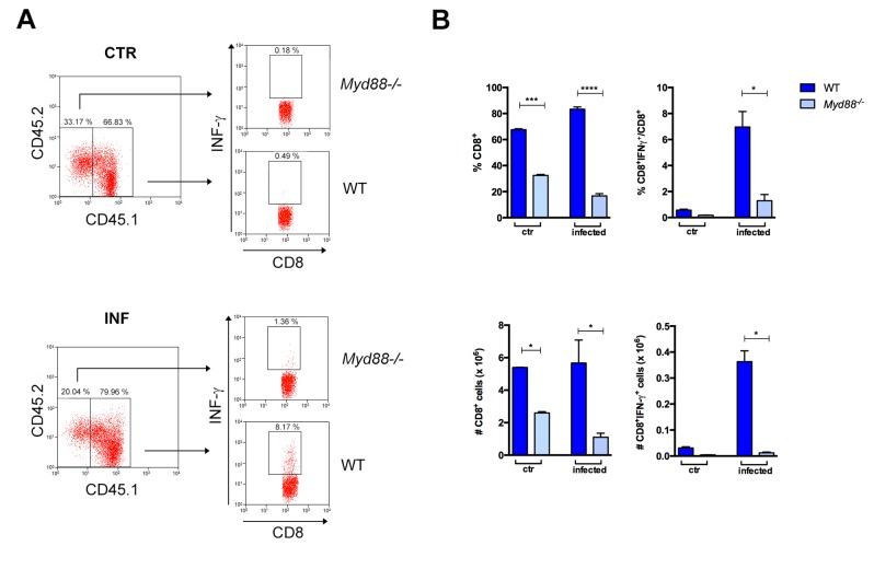 Figure 2—figure supplement 1.