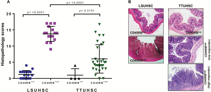 FIGURE. 1.