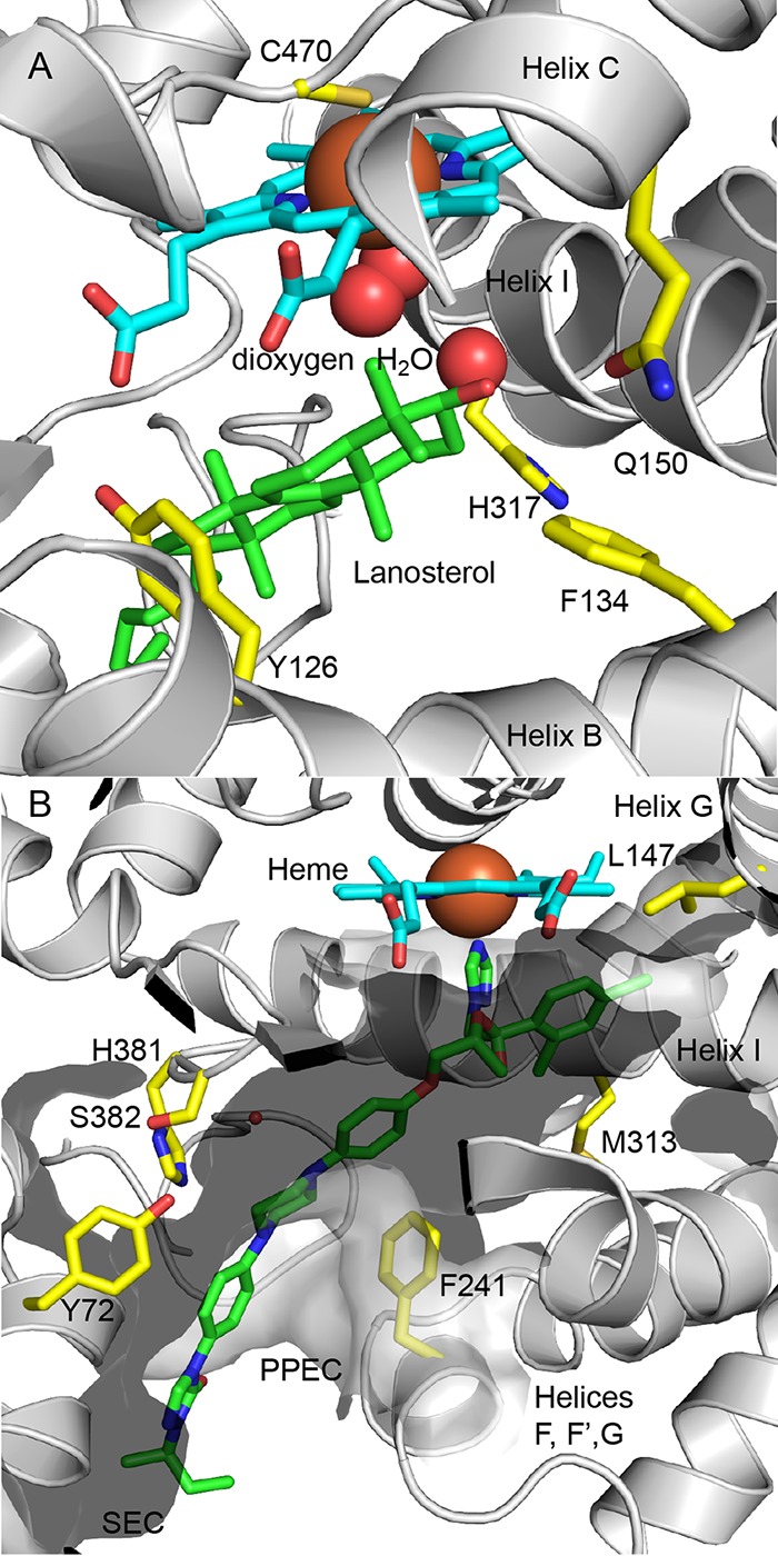 FIG 3