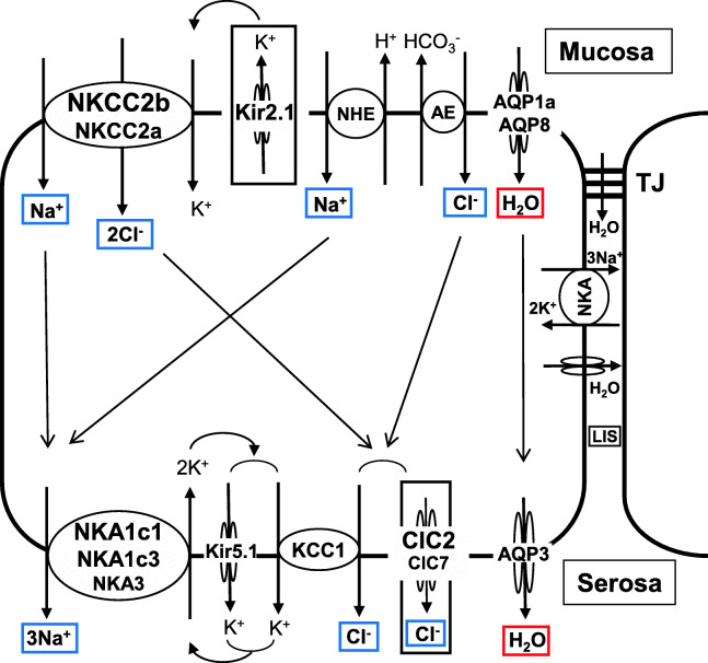 Fig. 3