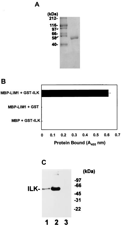 FIG. 5