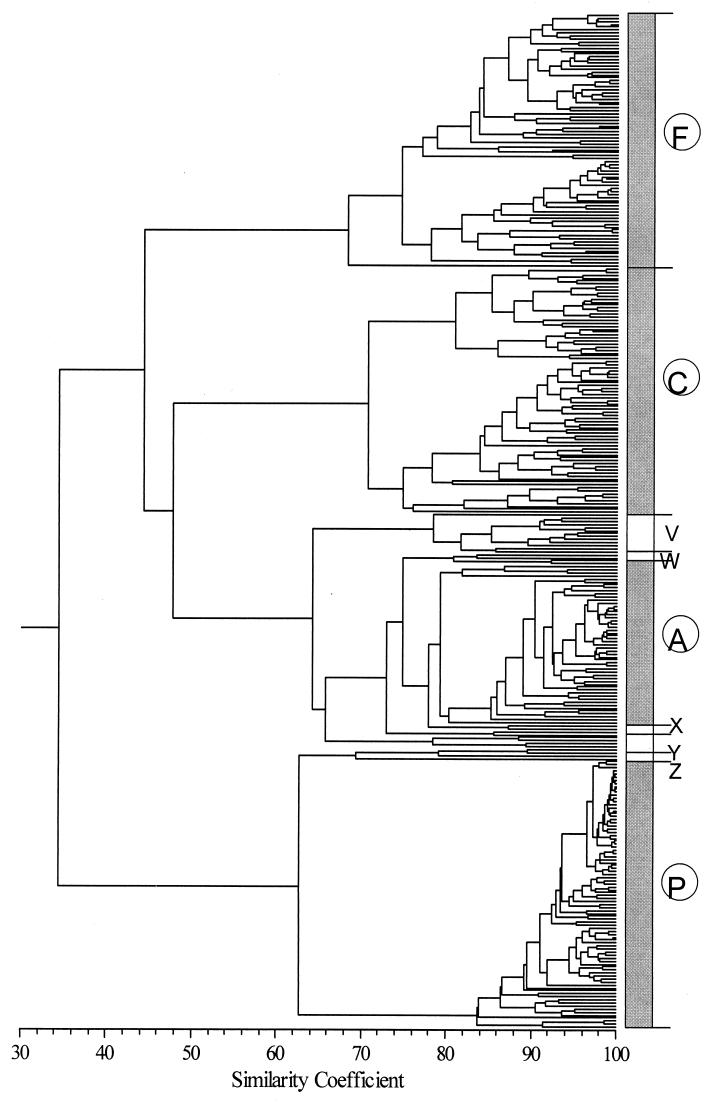 FIG. 5