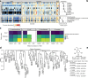 Extended Data Fig. 8