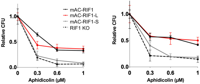 Figure 3—figure supplement 2.