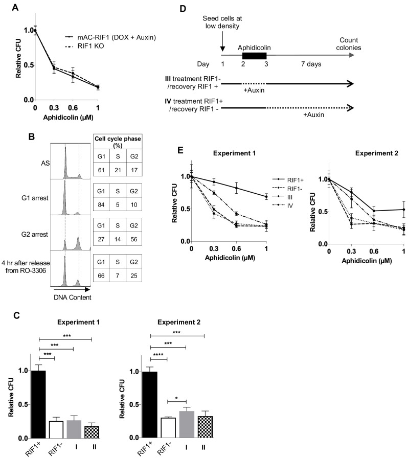 Figure 2—figure supplement 2.