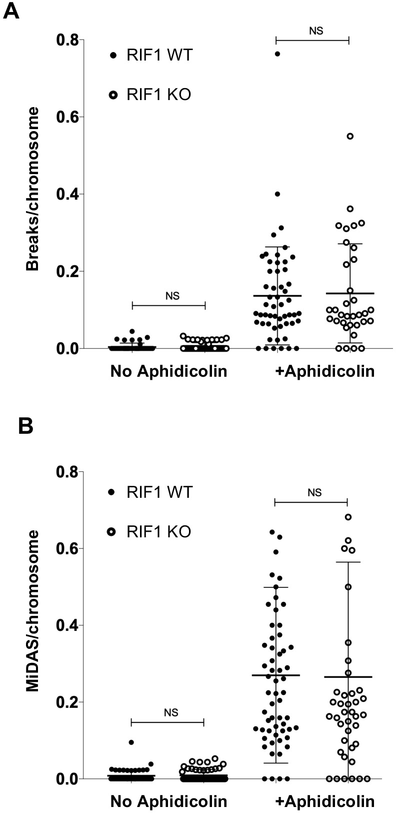 Figure 4—figure supplement 1.