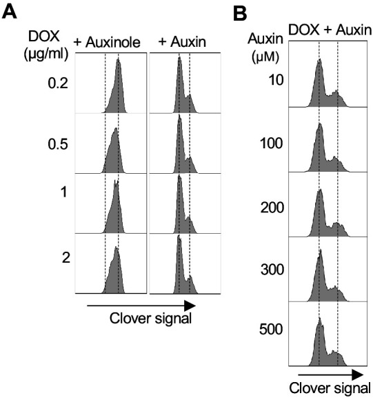 Figure 1—figure supplement 1.