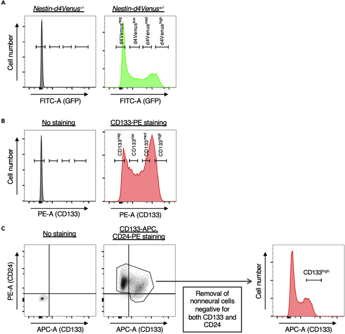 Figure 2