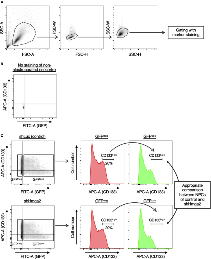 Figure 1