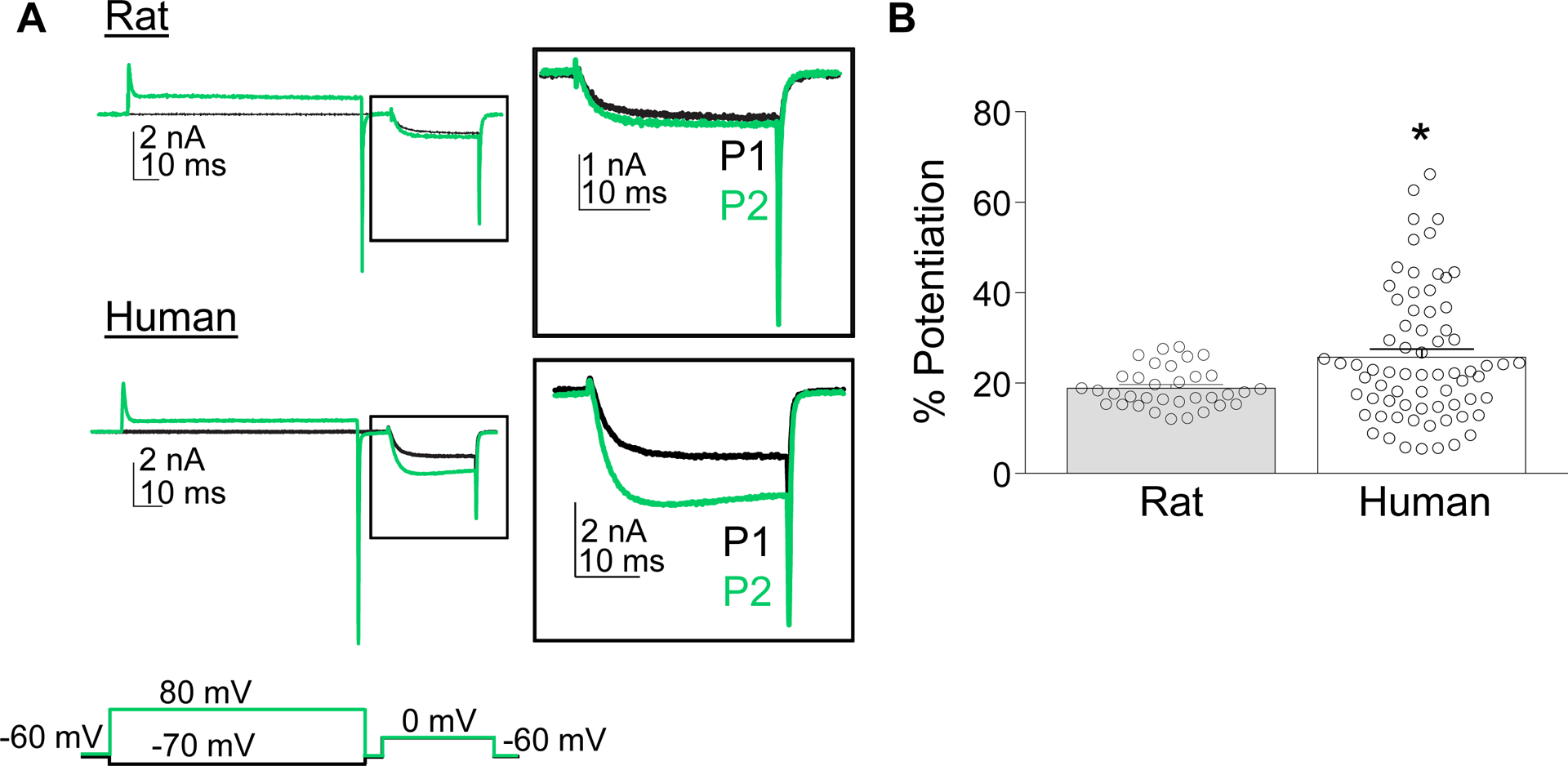 Figure 4.