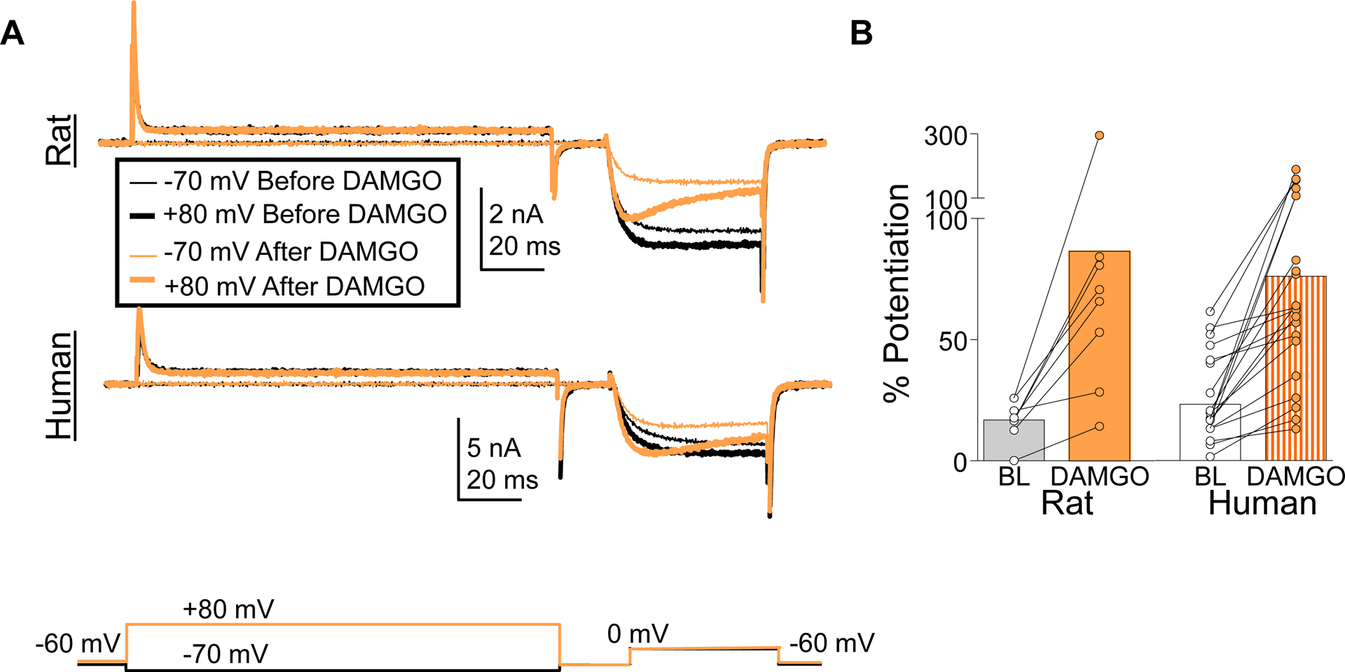 Figure 7.