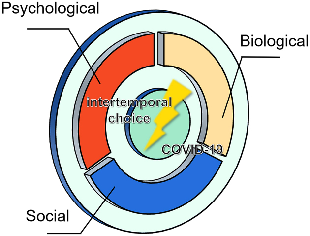 Figure 1: