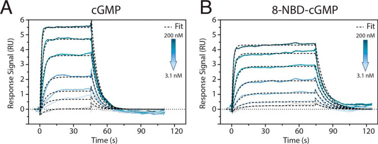 Figure 7.