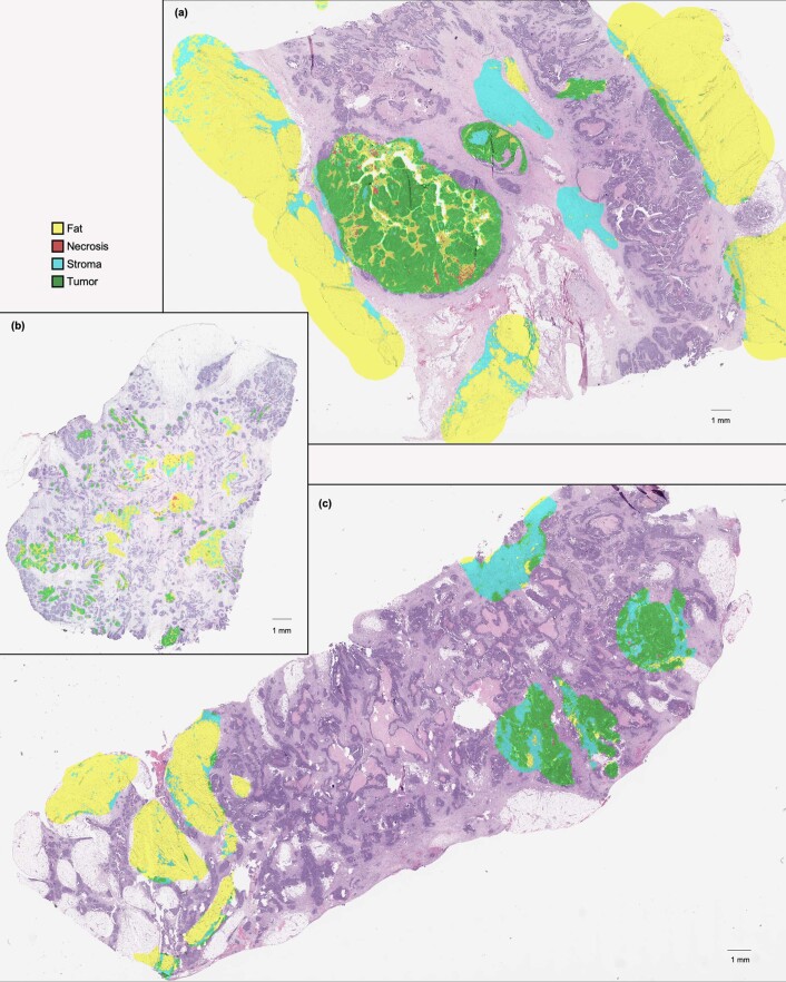 Extended Data Fig. 4