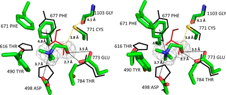 FIGURE 5.