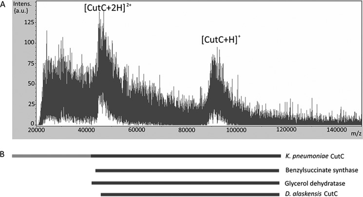 FIGURE 1.