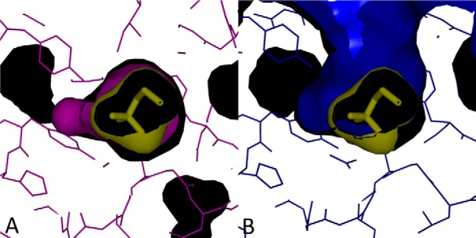 FIGURE 7.