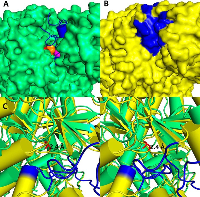 FIGURE 9.