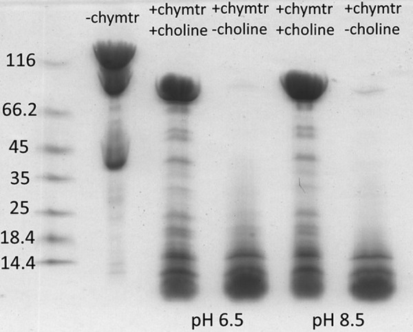 FIGURE 10.