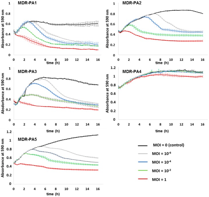 Figure 6