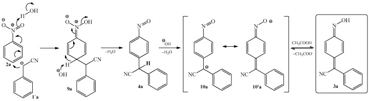 Scheme 5
