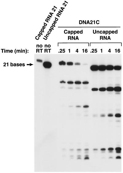 FIG. 5