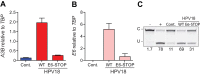 FIG 2