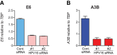 FIG 4