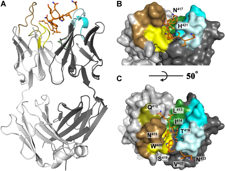 FIG 2