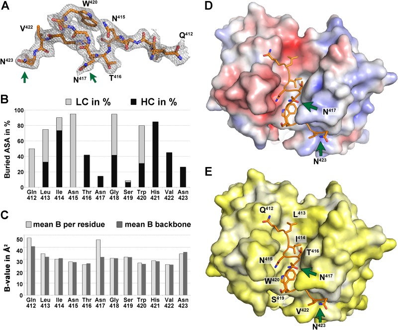 FIG 3