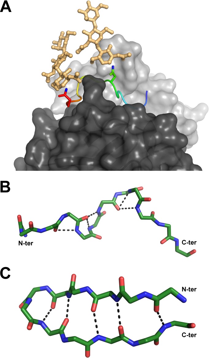 FIG 4