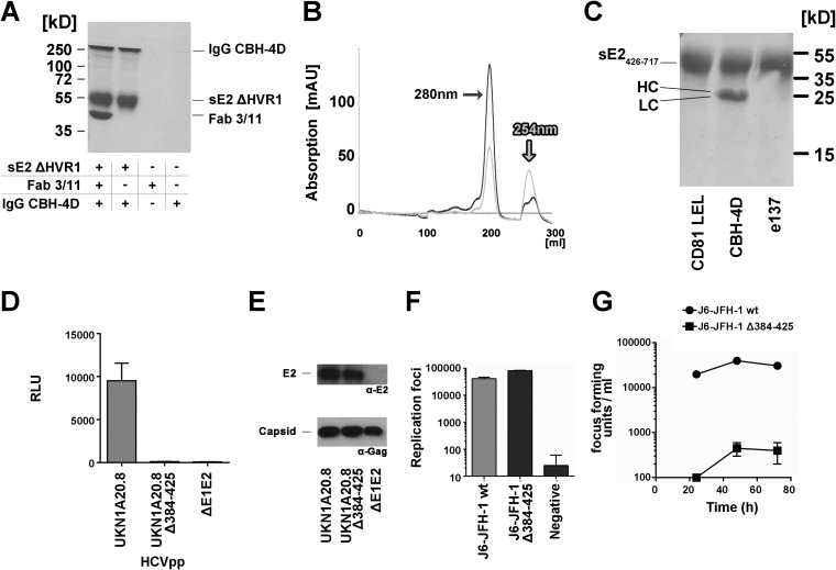 FIG 6