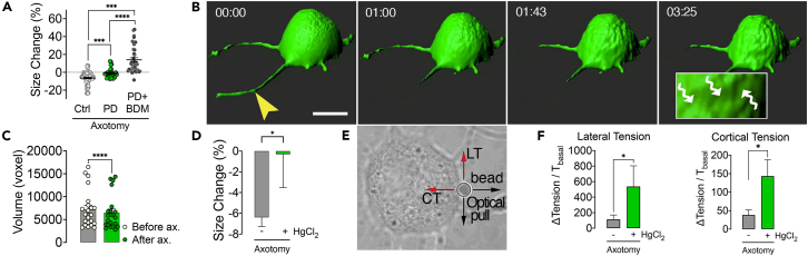 Figure 3