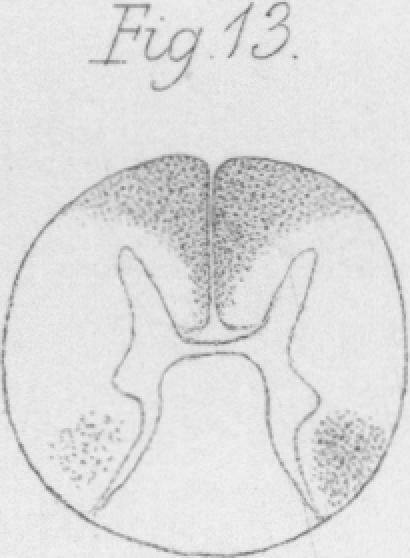 Fig. 13