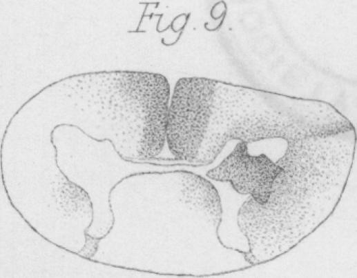 Fig. 9