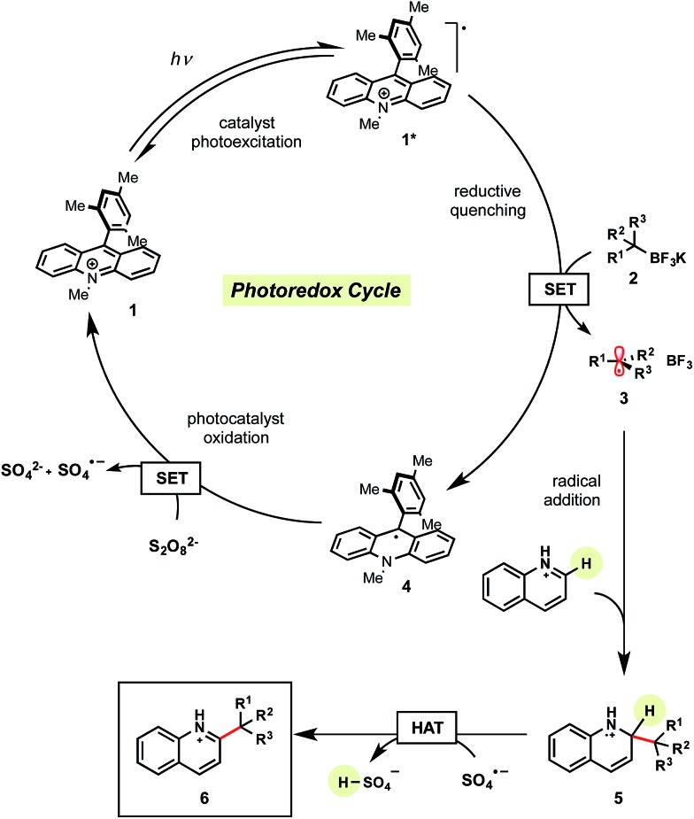 Scheme 2