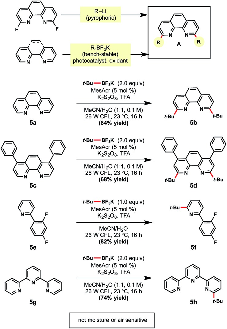 Scheme 5