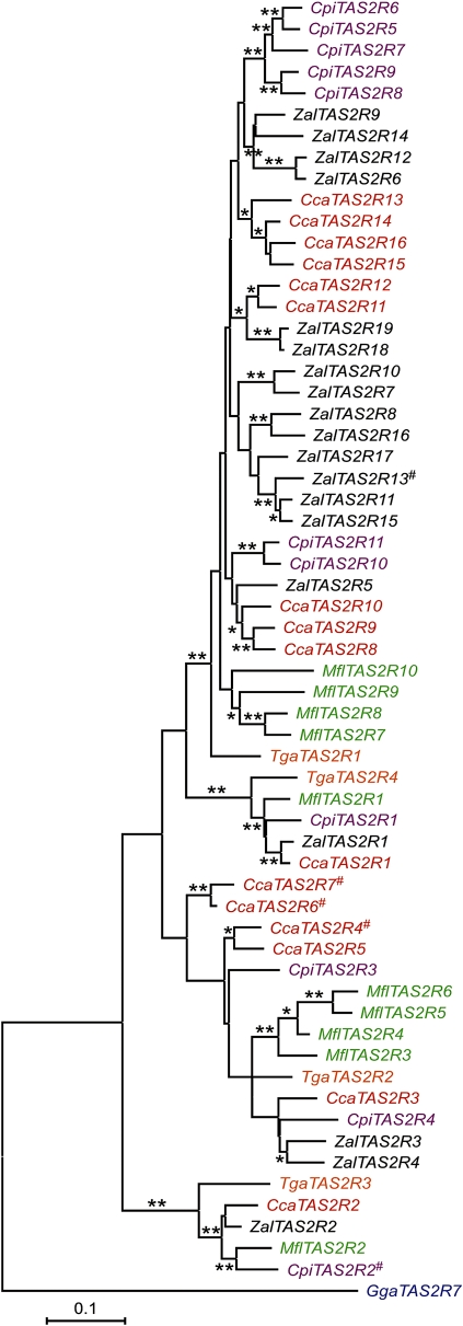 FIG. 4.—